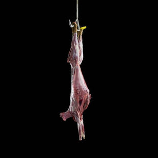 CHEVREUIL ENTIER PELE