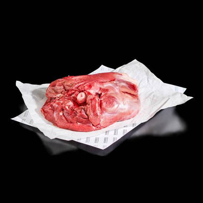 CUISSOT DE SANGLIER A/OS